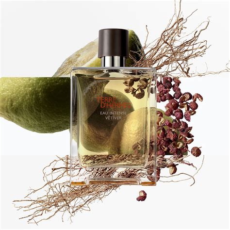 terre di hermes profumo opinioni|Terre D'Hermes Eau Intense Vetiver di Hermès da uomo.